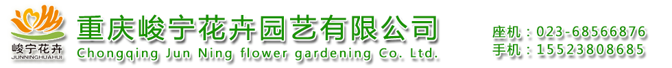 重庆植物租赁,重庆植物租摆-重庆峻宁花卉园艺有限公司